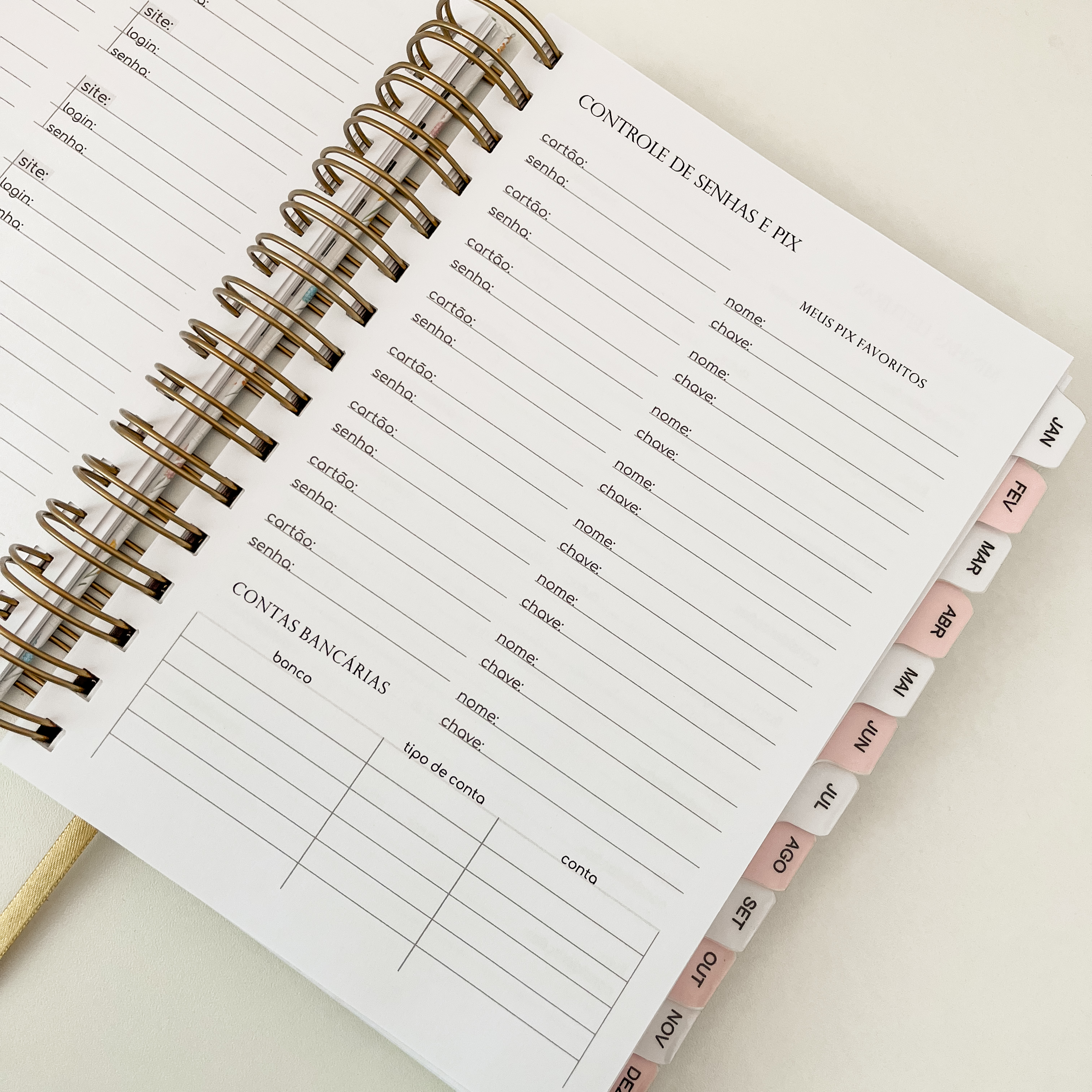 Controle senhas e Pix